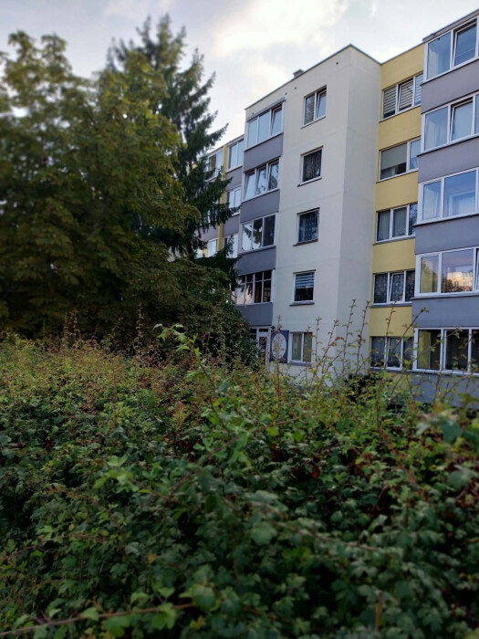 Butas - Panevėžys, Dariaus ir Girėno g.